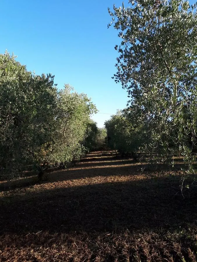 Agriturismo Anna-Rosa Legoli