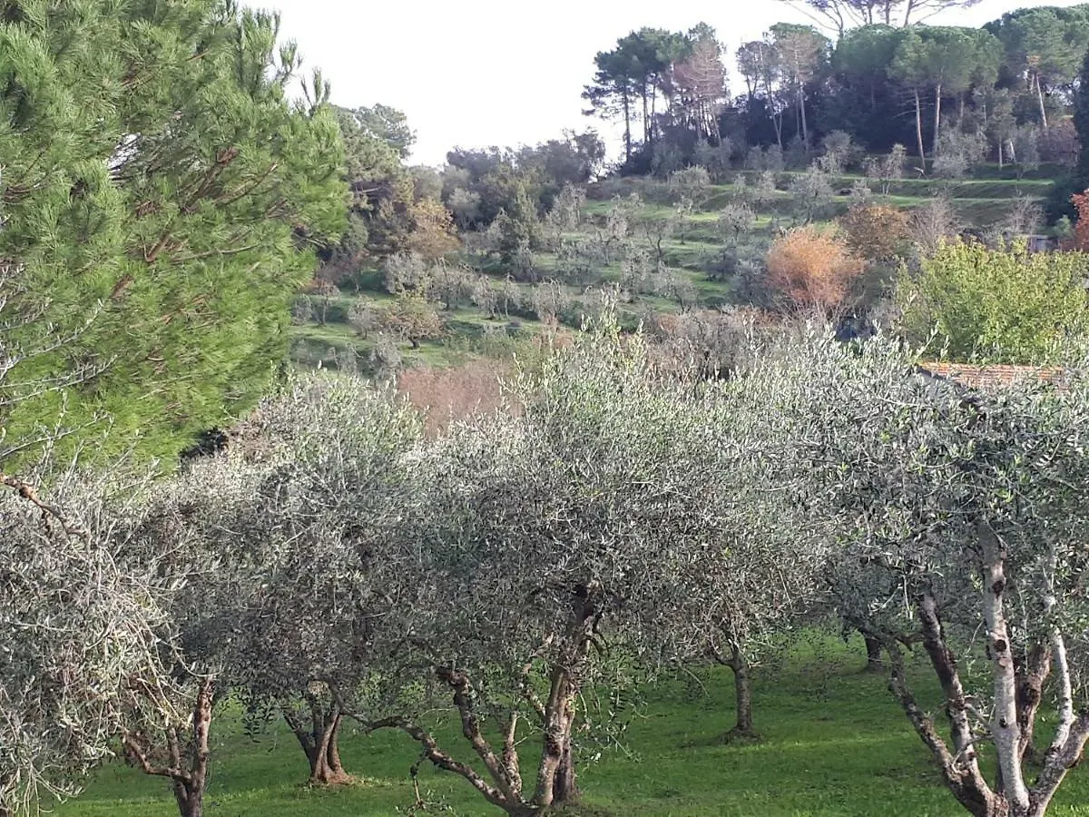 Apartment Agriturismo Anna-Rosa Legoli Italy