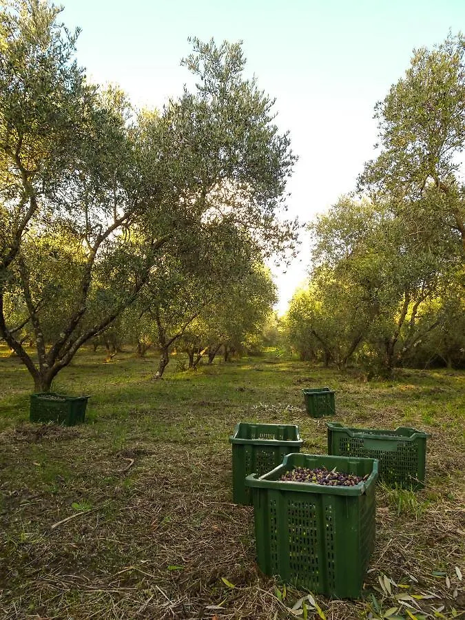 Agriturismo Anna-Rosa Legoli Itálie